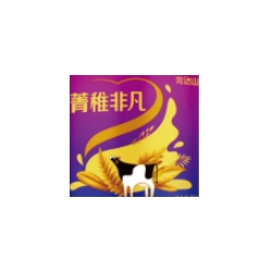 菁稚非凡