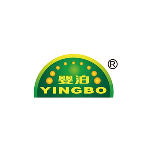 嬰泊